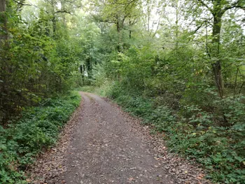 Galgebossen (Poperinge, Elverdinge, Vlamertinge) (Belgie)